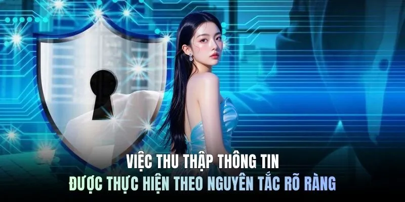 Việc thu thập thông tin được thực hiện theo nguyên tắc rõ ràng